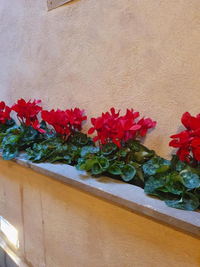 Vicolo Navona Apartment Rome Exterior photo